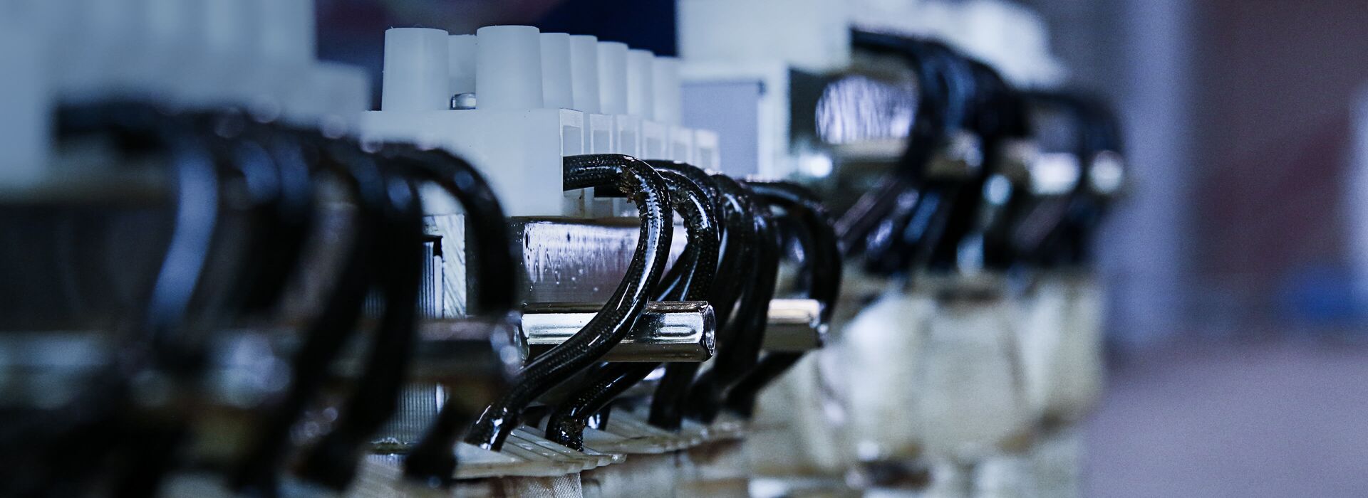 Nahaufnahme von Drosseln